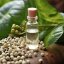 BIO Biele korenie - 100% prírodný esenciálny olej (10ml) - Pestík