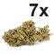 7 Tips for a Rich Yield