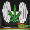 Cannabis and Sport? 3 Facts Everyone Should Know…