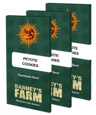 Peyote Cookies - feminizované semená 3 ks Barney´s Farm