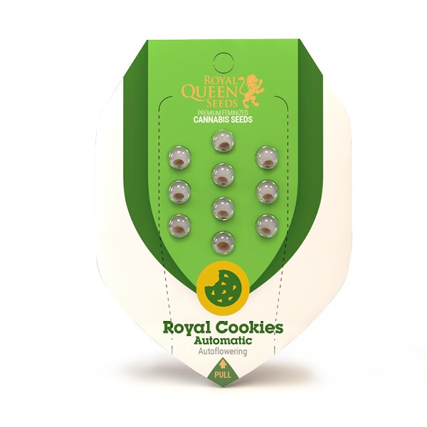 Royal Cookies Automatski - fem. i autocvjetajuće sjeme 10 kom Royal Queen Seeds