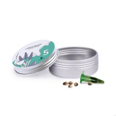 Citrus Gelato - feminizovaná semínka 5 ks Cannapio