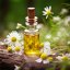BIO Chamomile - 100% Natural Essential Oil (10ml) - Pestik