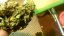 Blue Cheese Automatic - fem. a autoflowering semienka 10ks Dinafem