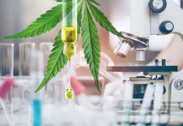 Syntetické CBD vs. prírodné CBD: Aký je medzi nimi rozdiel?