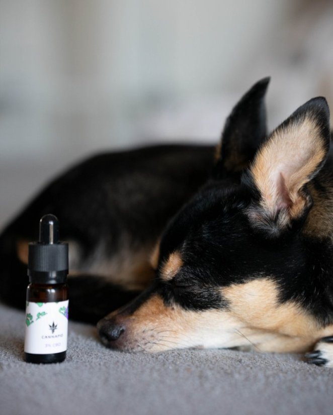 CBD-Öl für Tiere 2%, 30 ml Cannapio