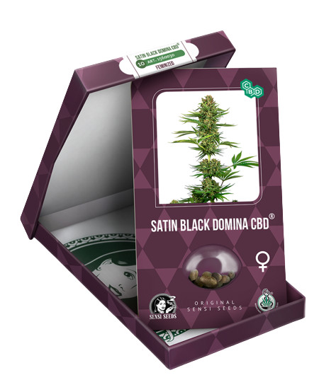Satin Black Domina CBD - semi femminizzati 3 pz, Sensi Seeds