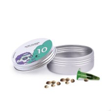 Kush Classic - feminizovaná semínka 10 ks Cannapio