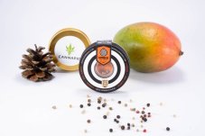 Swiss Dream Auto CBD - 5ks samokvitnúce semienka Kannabia Seeds