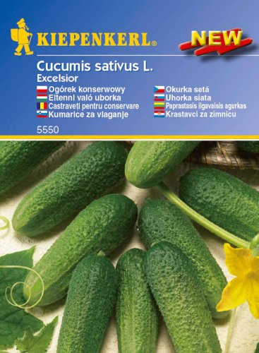Cucumber Excelsior - Cucumber Seeds