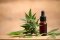 Cancer: THC and CBD Dosing for Cancer Patients