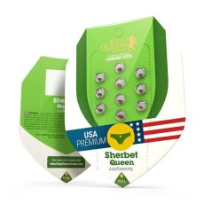 Sherbet Queen Automatic - fem. i samokwitnące nasiona 10 szt Royal Queen Seeds
