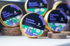 Auto Gelato Cookies - nasiona kwitnące automatycznie 5 szt Cannapio