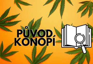 Původ konopí: Jak se tato rostlina rozšířila po celém světě?