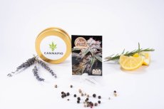 Black Dominator - Feminisierte Samen 10 Stück Fair Seeds