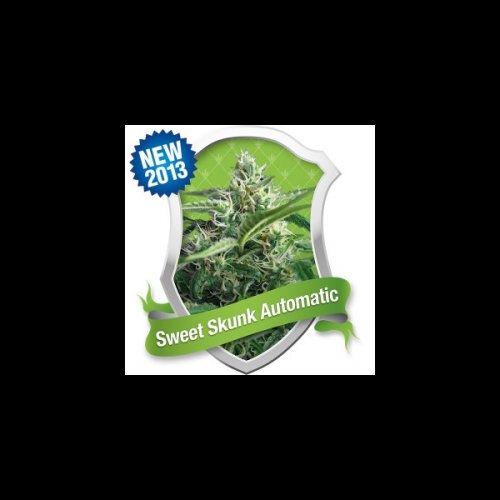 Sweet Skunk Automatic - feminized And autoflowering seeds 3 pcs Royal Queen seeds