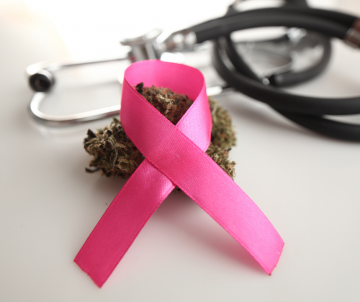 Palliative care and oncology - Cannabis as a supportive treatment
