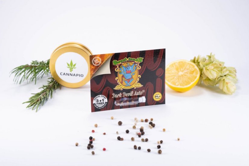 Dark Devil Auto - feminizovaná a samonakvétací semínka 3ks Sweet Seeds