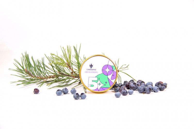 CBD Blueberry (1:16) - feminized seeds 3 pcs Cannapio