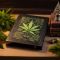 7 COUNTRIES WITH THE STRICTEST CANNABIS LAWS