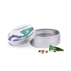 Wedding Edition - feminized seeds 5 pcs Cannapio