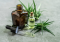 Warning: CBD oils may contain synthetic cannabinoids instead of organic cannabidiol