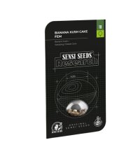 Banana Kush Cake - feminisierte Samen 3 Stück Sensi Seeds