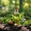 BIO Melissa olej 10ml