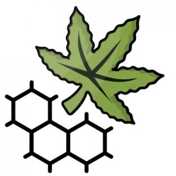 Californian seeds - THC content - high (15-20%)