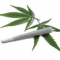 7 Best Hemp History Models