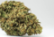 Blueberry - Indian cannabis with high THC content and an interesting genetic lineage