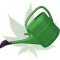 30 Watering Tips