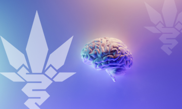 Welchen Einfluss hat CBD auf das Gehirn und das Gedächtnis?