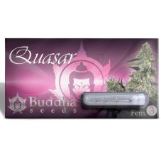 Quasar - feminizovaná semena, 10 ks, Buddha Seeds