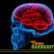 Medical Cannabis and Brain Tumor Treatment