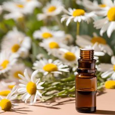 BIO Daisy - 100% natural infused oil (10 ml)