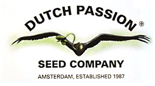 Dutch Passion