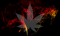 Passive cannabis smoking - will I pass a drug test?