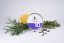 Auto Galaxy - 10pcs autoflowering seeds Cannapio