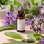 BIO Kostival - 100% natürliches infundiertes Öl (10 ml)