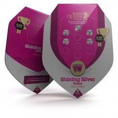 Shining Silver Haze - feminizovaná semínka 5 ks Royal Queen Seeds