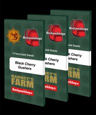 Black Cherry Gushers - feminizované semená, 10 ks, Barney's Farm