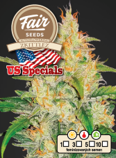 Fair Seeds Auto Zkittlez samonakvétací semena