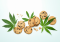 Hemp Cookies: 5 Creative Recipes That Will Delight Your Taste Buds!