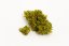 Wellness - Indoor CBD kvety Cannapio 1g