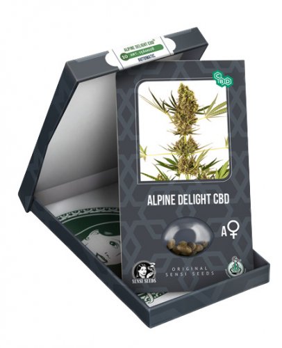 Alpine Delight CBD Automatic - autoflowering  semienka 3 ks, Sensi Seeds