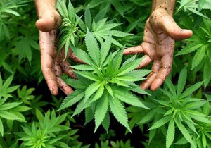 Behandlung von neuropathischen Schmerzen mit medizinischem Cannabis