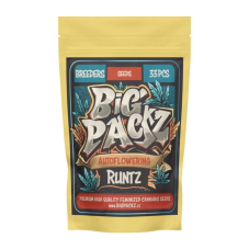 Big Packz Runtz Auto samonakvétací semena