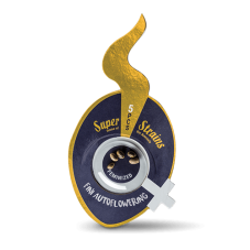 Super Strains Fini Auto feminizované semeno