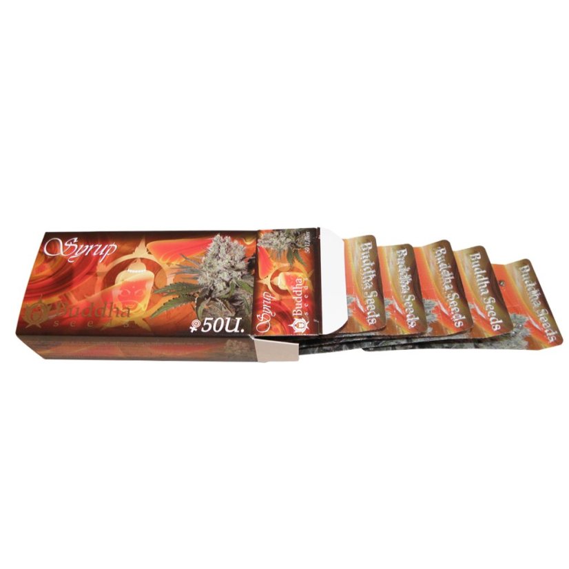 Sirup auto - feminizované semená, 3 ks, Buddha Seeds